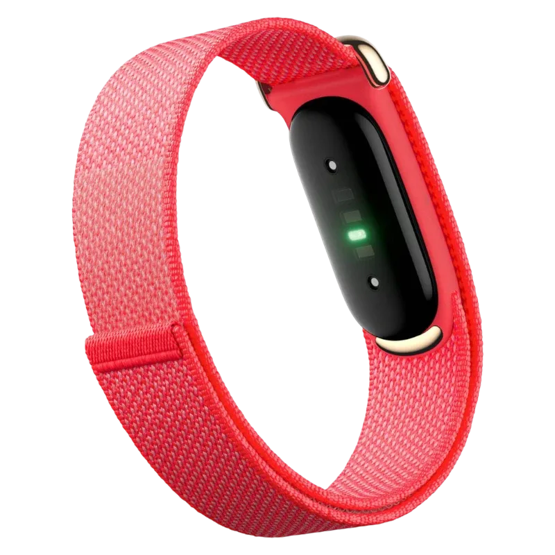 Фитнес-браслет Google Fitbit Air Berry