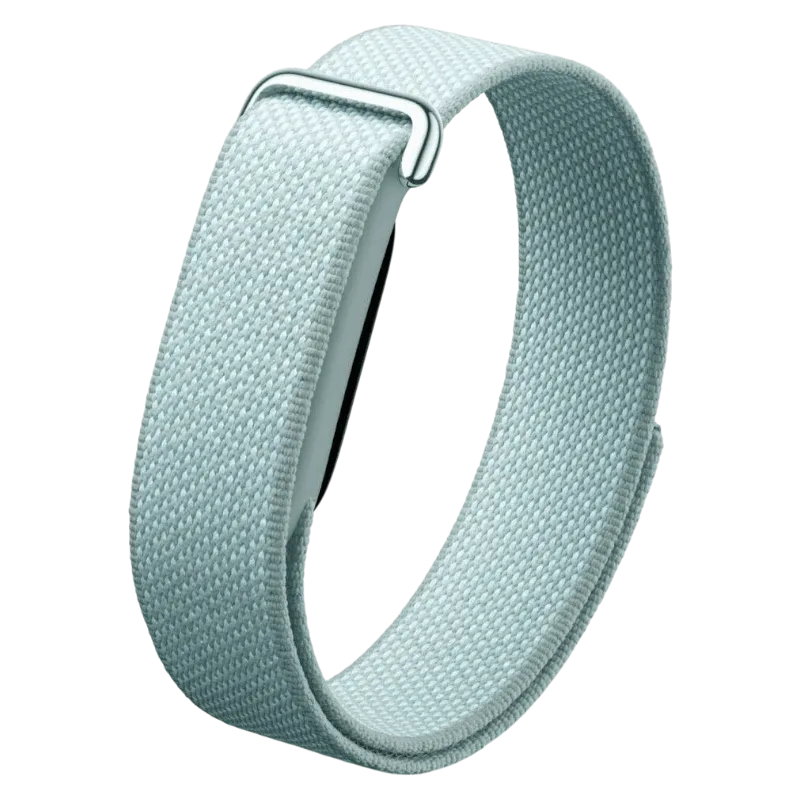 Фитнес-браслет Google Fitbit Air Fog
