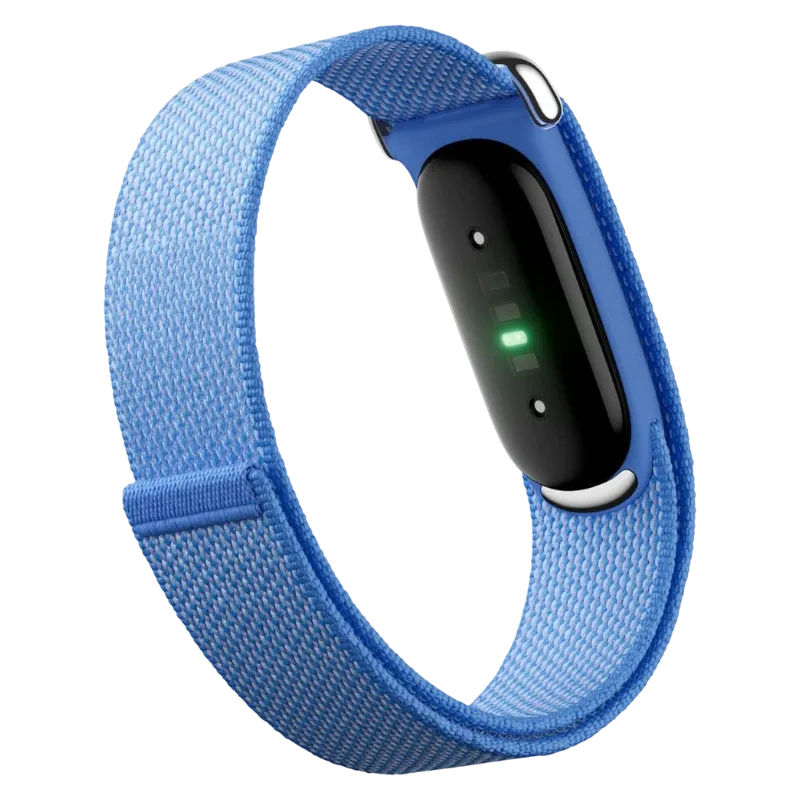 Фитнес-браслет Google Fitbit Air Lavender