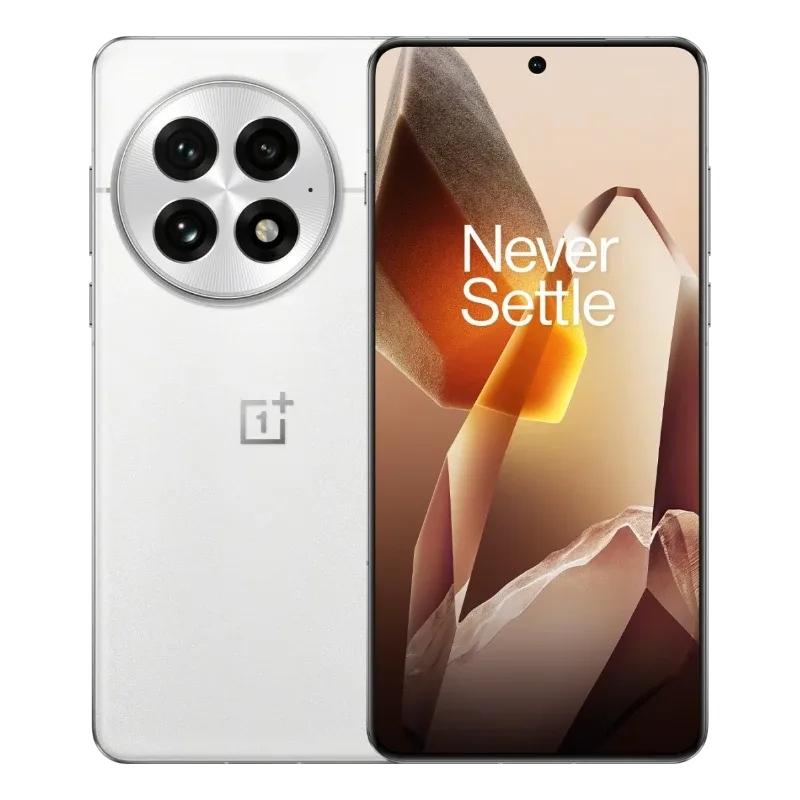 OnePlus 13 24/1024GB Arctic Dawn