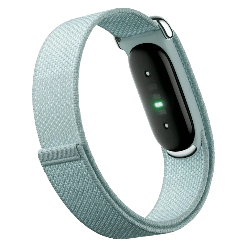 Фитнес-браслет Google Fitbit Air Fog