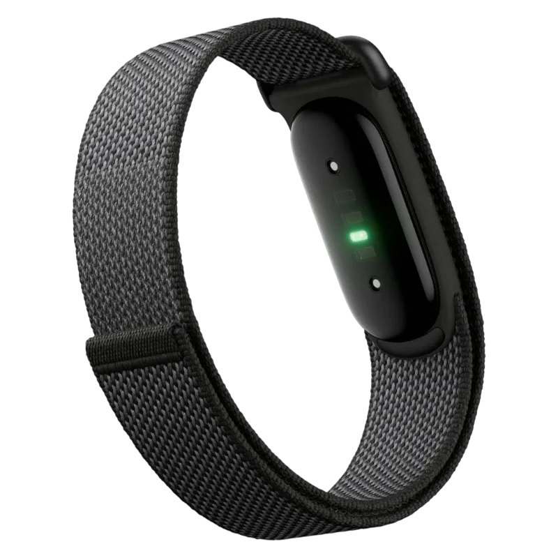 Фитнес-браслет Google Fitbit Air Obsidian