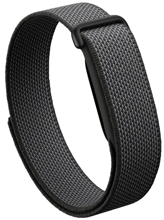 Google Fitbit Air